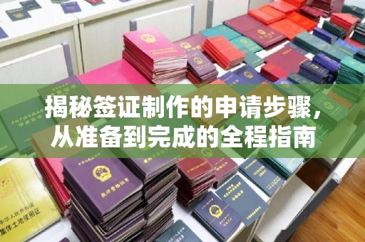 木垒揭秘签证制作的申请步骤，从准备到完成的全程指南