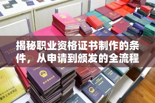 木垒揭秘职业资格证书制作的条件，从申请到颁发的全流程解析